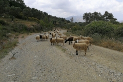 Gorge Agios Antonios